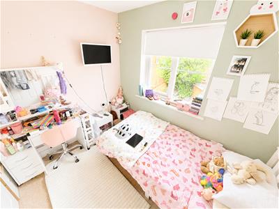 Picture 26